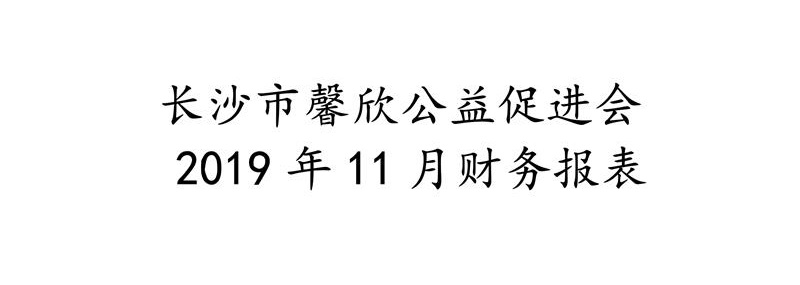 长沙市馨欣公益促进会2019年11月财务报表