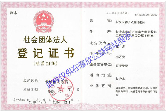 慈善组织