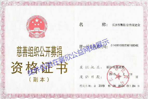 公开募捐资格