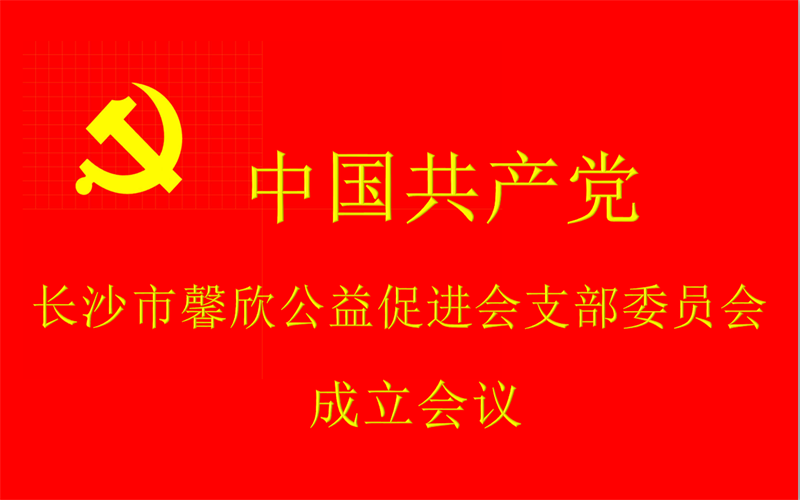 中共长沙市馨欣公益促进会支部委员会举行成立会议