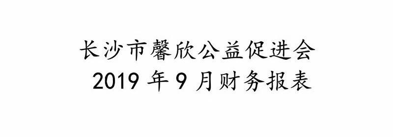 长沙市馨欣公益促进会2019年9月财务报表
