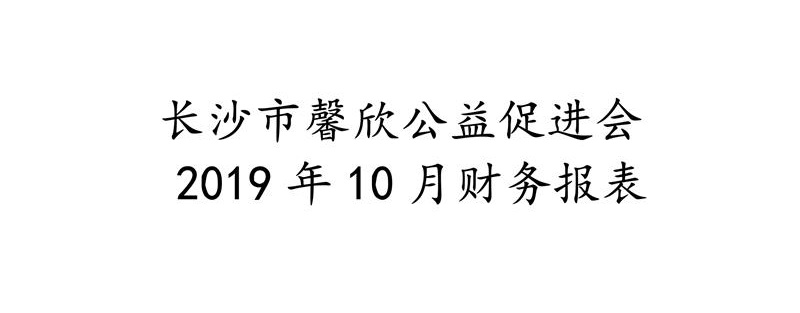 长沙市馨欣公益促进会2019年10月财务报表