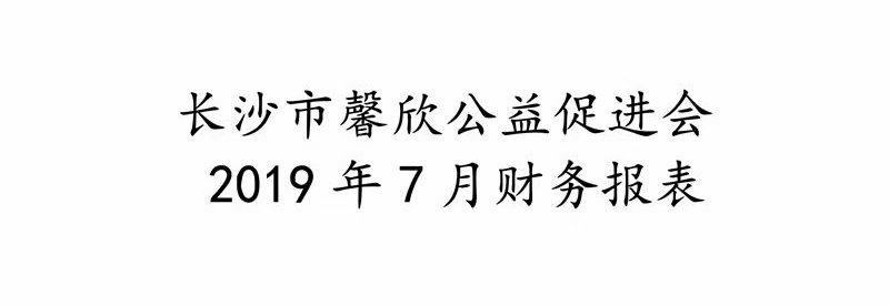 长沙市馨欣公益促进会2019年7月财务报表
