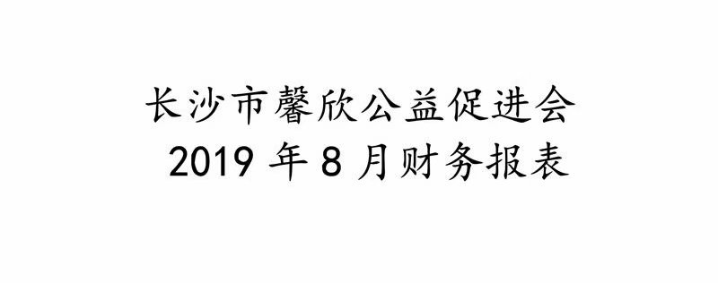 长沙市馨欣公益促进会2019年8月财务报表