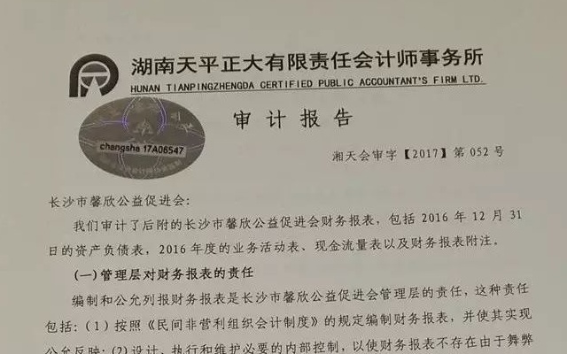 馨欣公益2016年度审计报告