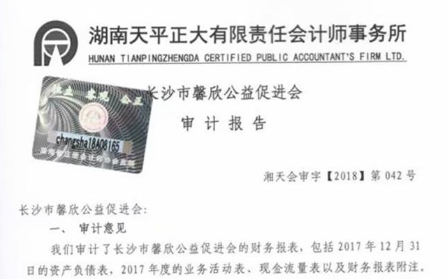 馨欣公益2017年度审计报告