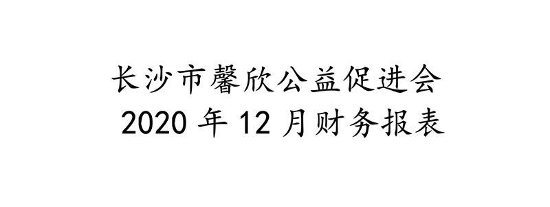 长沙市馨欣公益促进会2020年12月财务报表