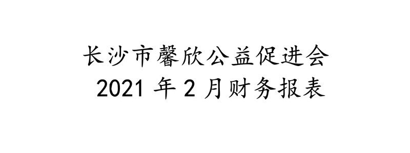 长沙市馨欣公益促进会2021年2月财务报表