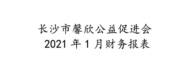 长沙市馨欣公益促进会2021年1月财务报表