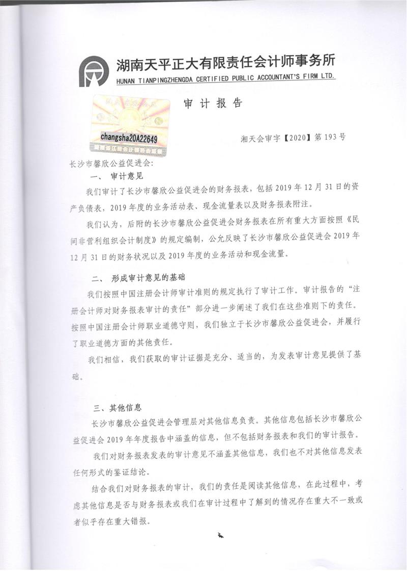 馨欣公益2019年度审计报告