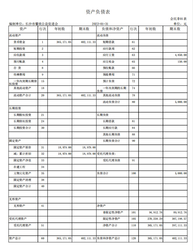 长沙市馨欣公益促进会2022年1月会计报表