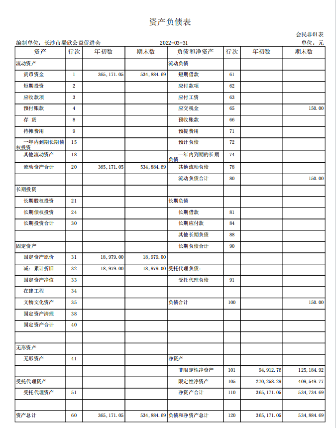 长沙市馨欣公益促进会2022年3月会计报表