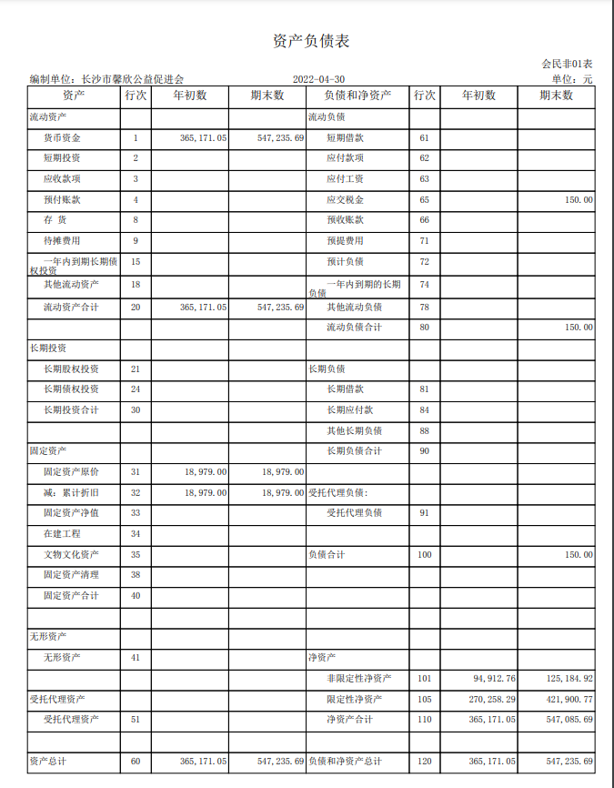 长沙市馨欣公益促进会2022年4月会计报表