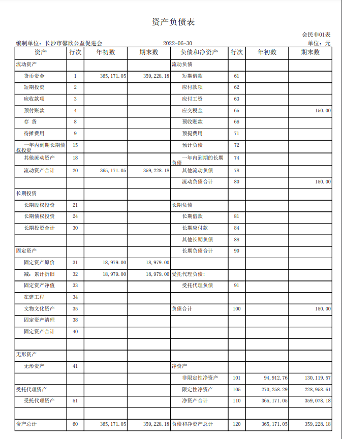 长沙市馨欣公益促进会2022年6月会计报表