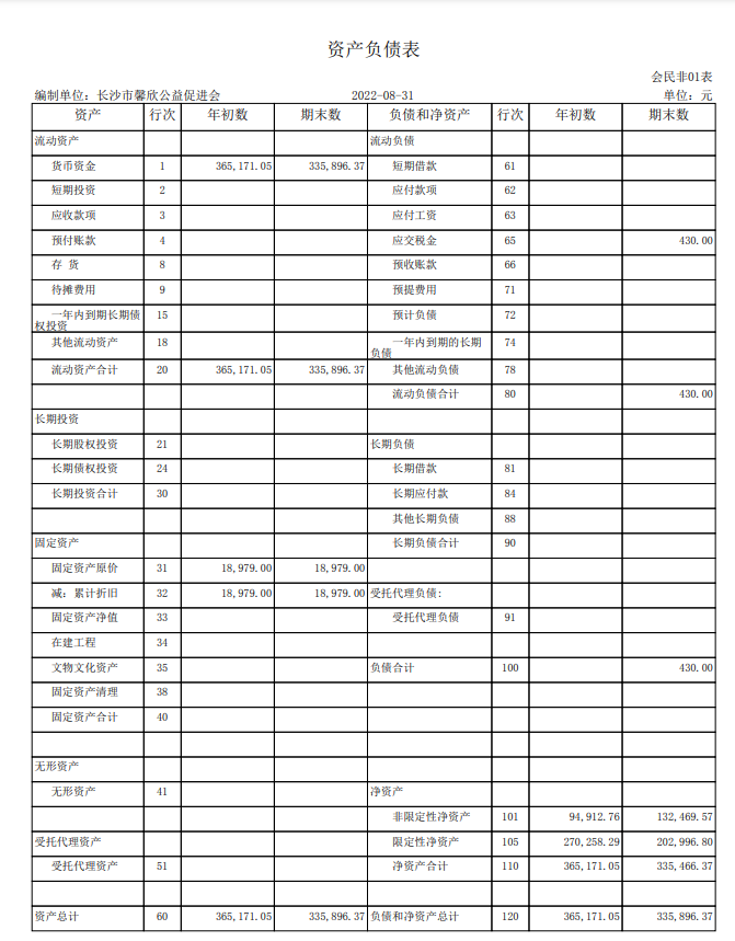 长沙市馨欣公益促进会2022年8月会计报表