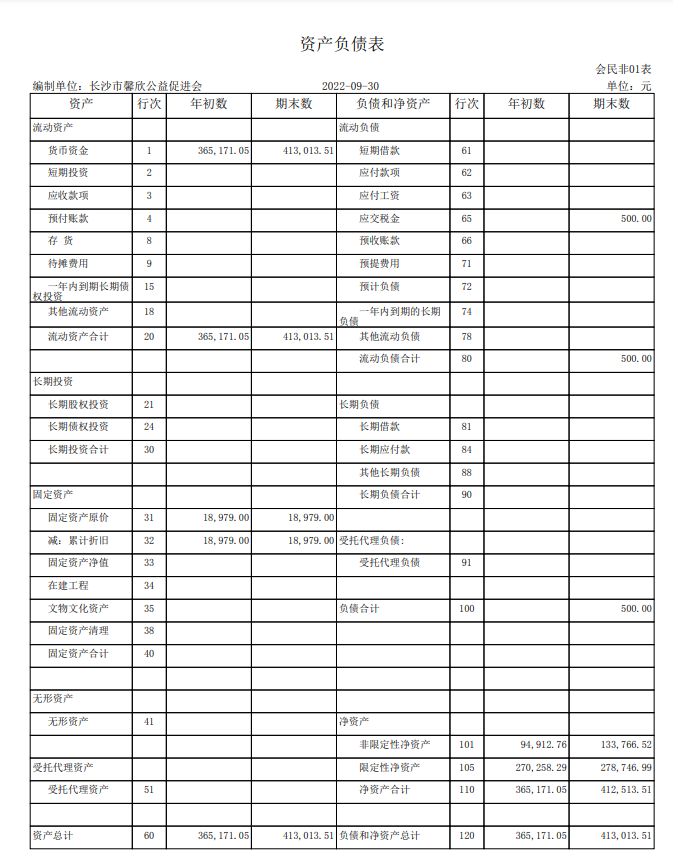 长沙市馨欣公益促进会2022年9月会计报表