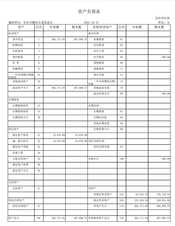 长沙市馨欣公益促进会2022年10月会计报表