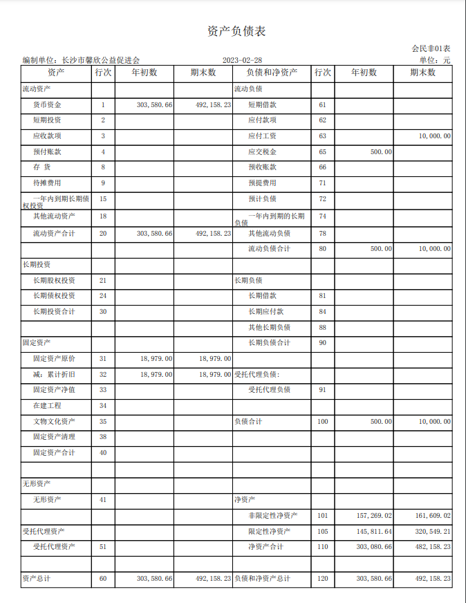 长沙市馨欣公益促进会2023年3月会计报表