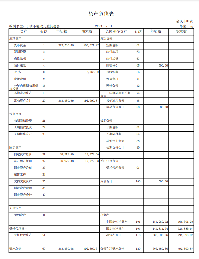 长沙市馨欣公益促进会2023年5月会计报表